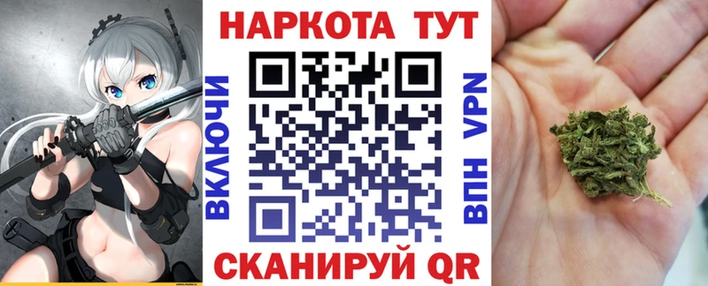 Бошки Шишки Дигора