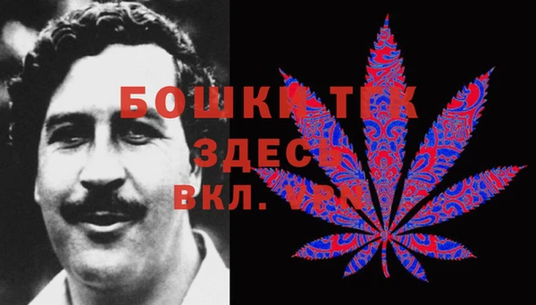 стаф Вязники